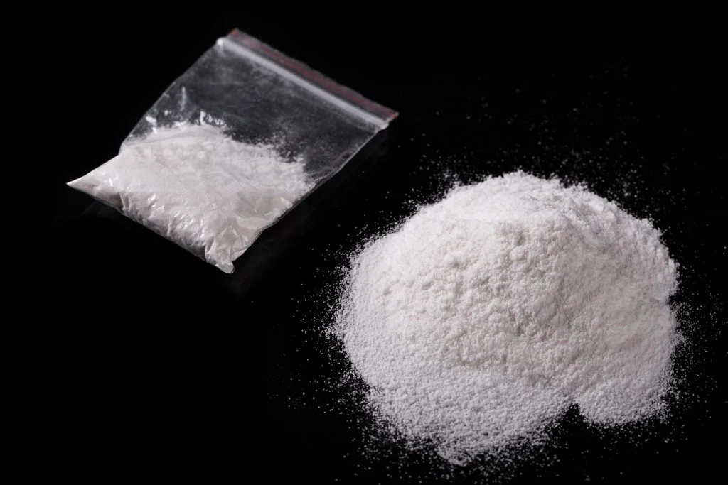 Tiltale: Seks mænd stod bag indsmugling af 93 kilo kokain til Danmark