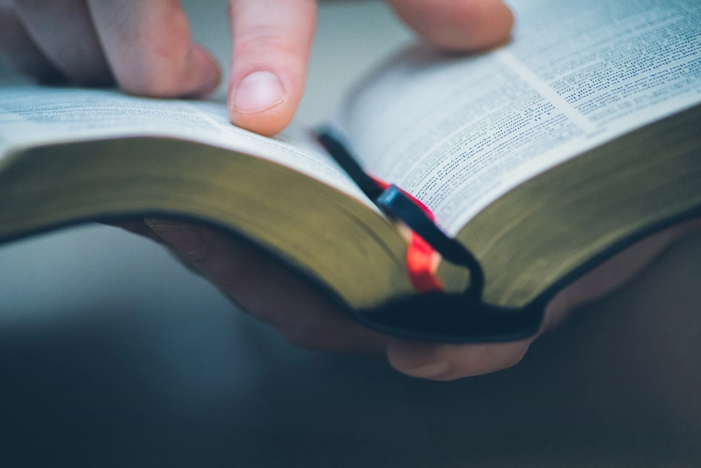 Judæas balsam? Forsvundet oldtidstræ nævnt i Biblen er genopstået