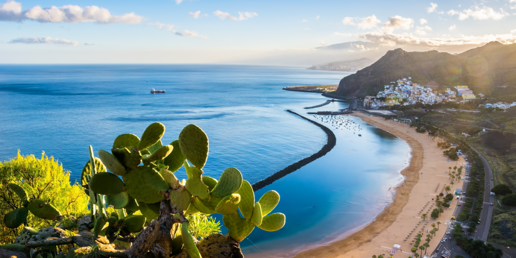 Familie var på ferie på Tenerife: Så gik det helt galt