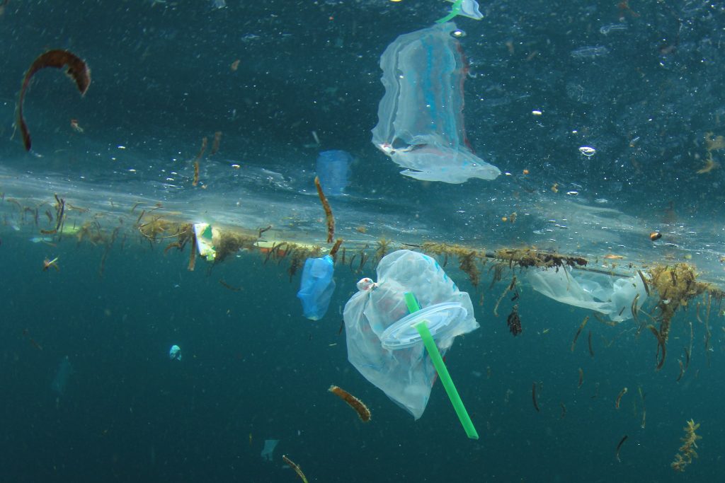 I 2021 kan engangstallerkener og plastic-sugerør være fortid