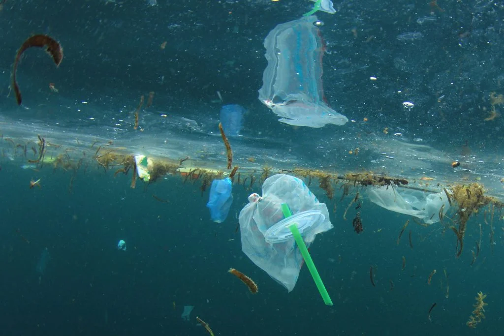 I 2021 kan engangstallerkener og plastic-sugerør være fortid