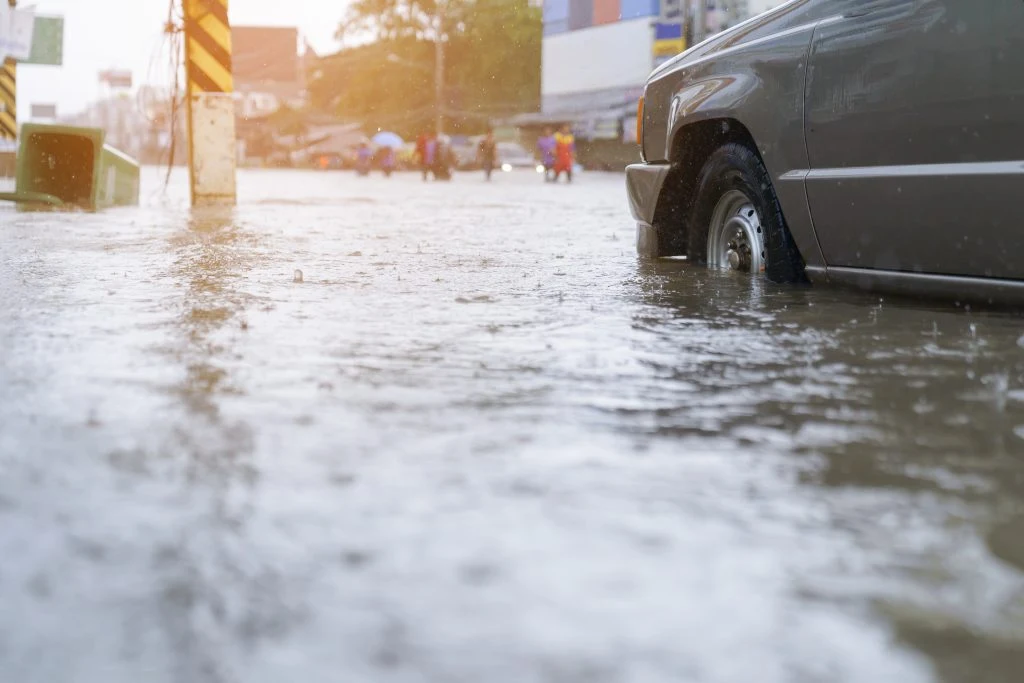 Klimaet ændrer sig: Milliondonation skal beskytte Vejle mod stormflod