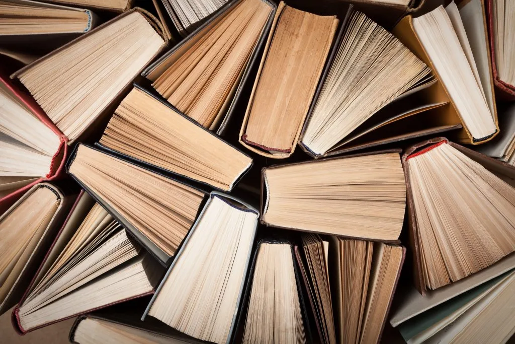 Succes: mere end en halv million besøgte Viborgs biblioteker sidste år