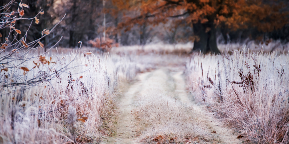 DMI advarer: Drastisk vejrskifte på vej