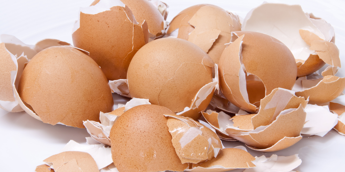 Foråret står for døren: Derfor må du ikke smide dine æggeskaller ud