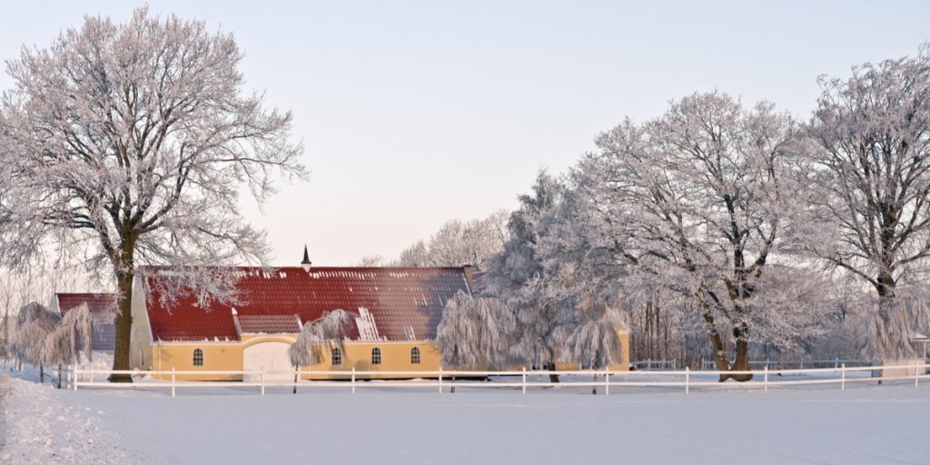 DMI med vild udmelding: Så meget sne er der på vej