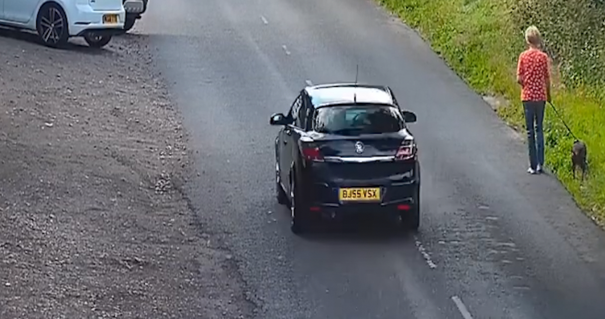 Chokerende video: Kvinde og hund bliver kørt ned under gå-tur