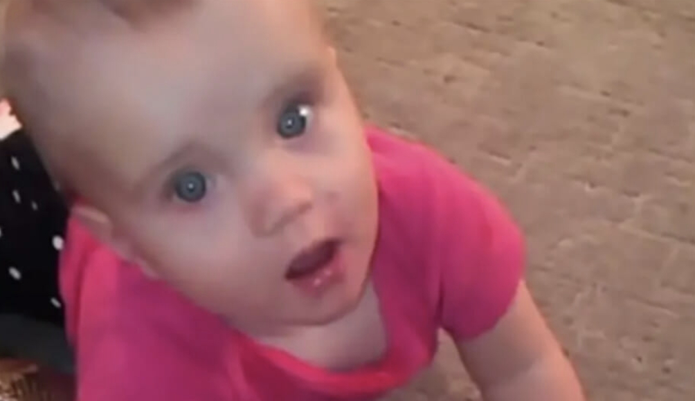 Lagt for had: Lod baby lege med familiens kæledyr