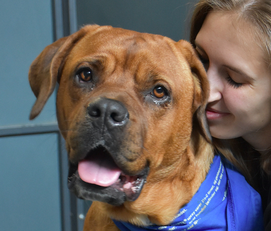 Vera frygter hundesnoren af særlig grund