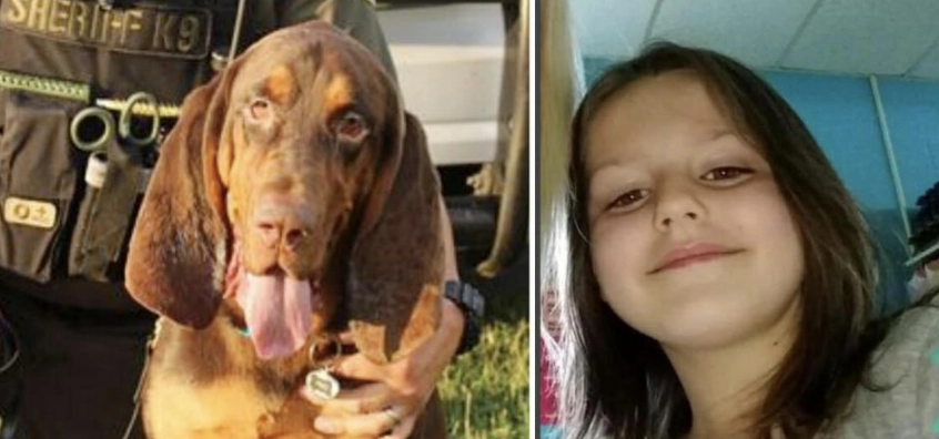 Heltemodig politihund finder forsvundet 6-årig