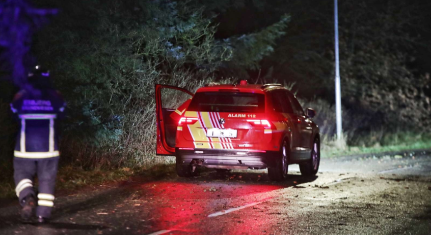 Stormen Rolf har væltet flere træer: Her skal bilister være særligt forsigtige