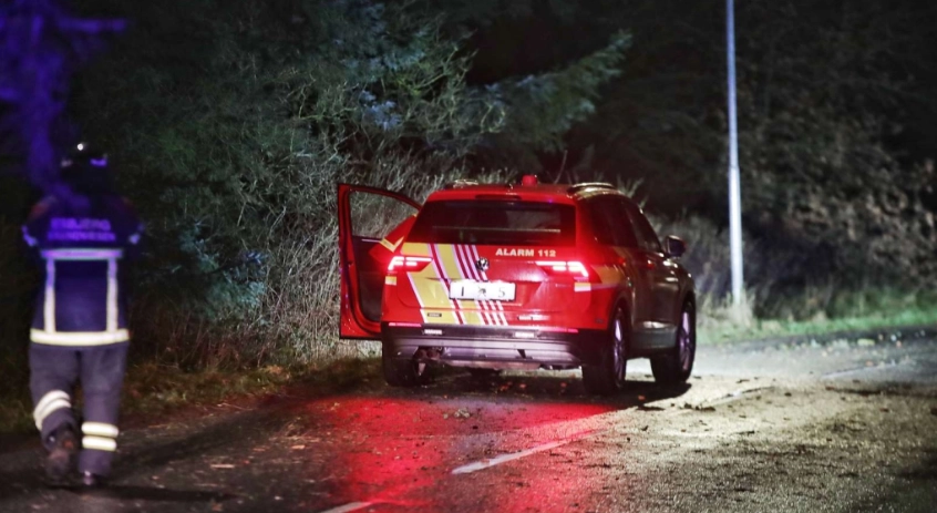 Stormen Rolf har væltet flere træer: Her skal bilister være særligt forsigtige