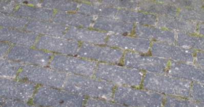 Du må aldrig bruge eddike: Sådan fjerner du ukrudt fra indkørslen på ingen tid