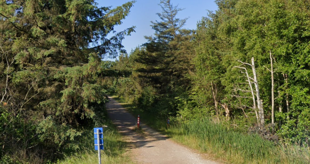 Godmorgen, i dag skal vi brænde træer af: Her er elevernes skema præget af usædvanlig aktivitet