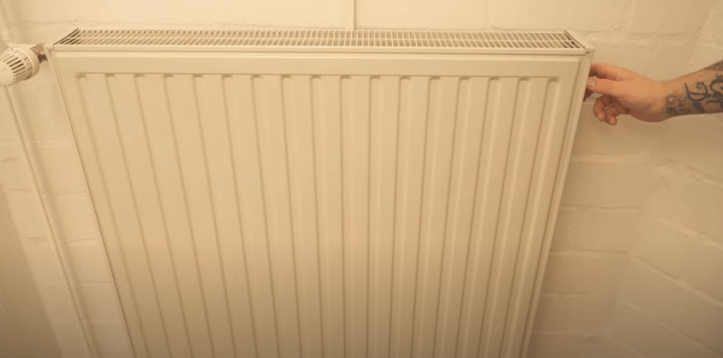 Han gør dette ved sin radiator: Med et snuptag gør han den fri for støv