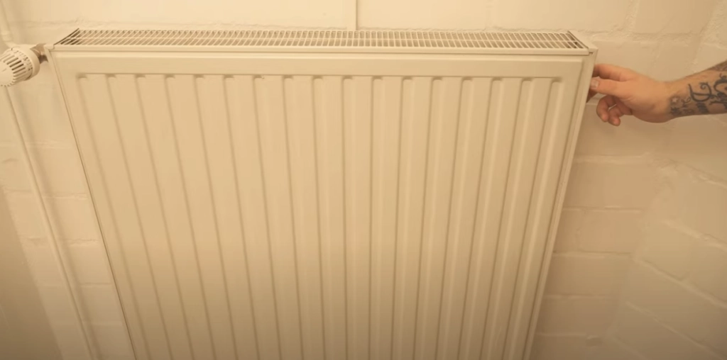 Han gør dette ved sin radiator: Med et snuptag gør han den fri for støv