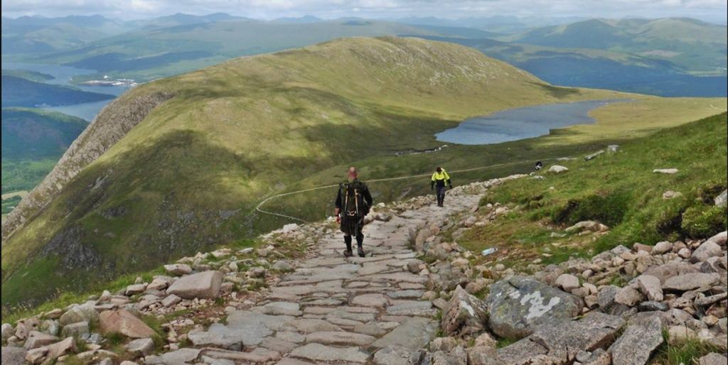 Du gætter det aldrig: Dette er Skotlands utrolige nationaldyr