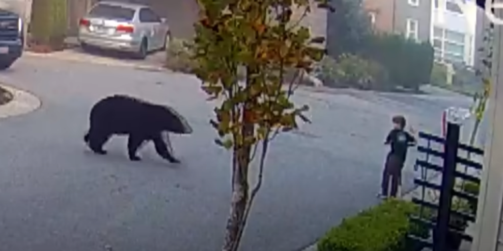 7-årig dreng suser rundt på vejen på sit løbehjul: Så tager sagen en uventet drejning