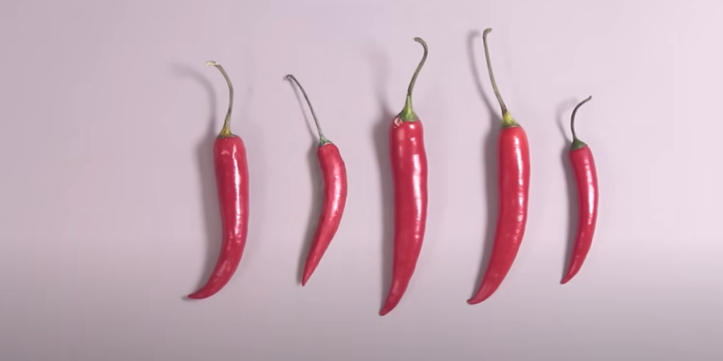 Synstest: Du har falkeblik, hvis du kan se, hvilken chili der er tegnet