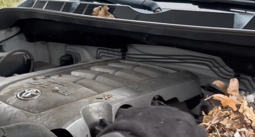 Mand kan ikke få sin bil til at starte: Da han åbner motorhjelmen, opdager han hvorfor