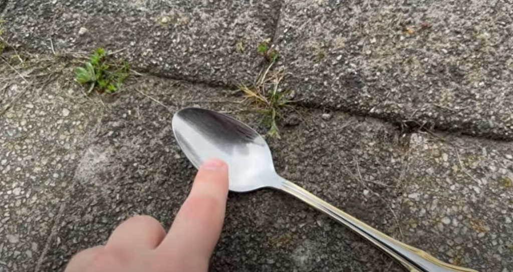 Han lægger en ske i haven: Hvad der så sker, vil få dig til at gøre det samme