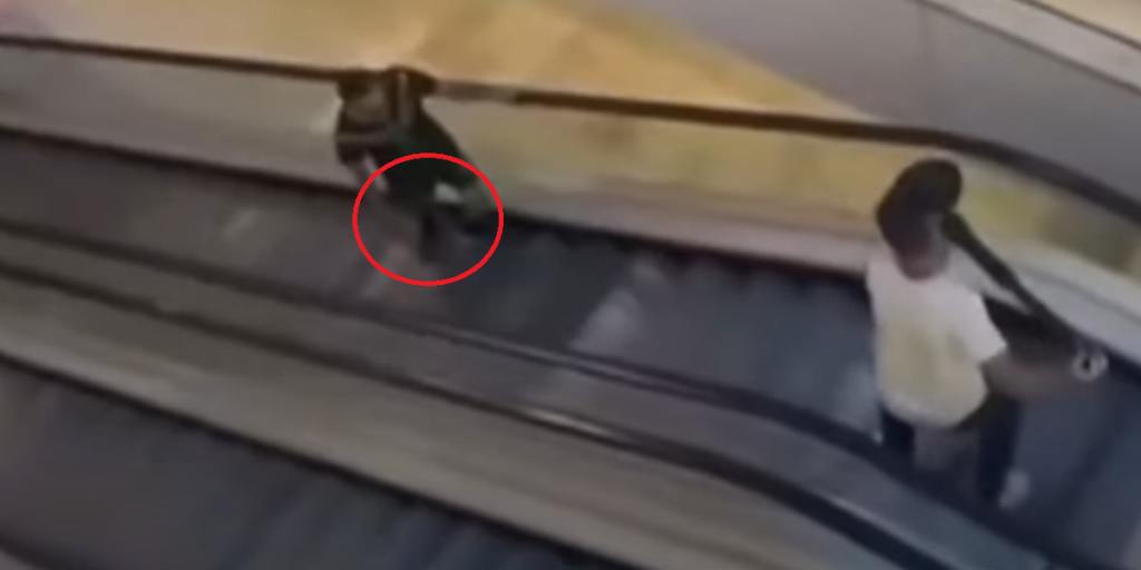 Visaet nærmede sig udløb: Nu hyldes franskmands handling og giver tilbud om statsborgerskab