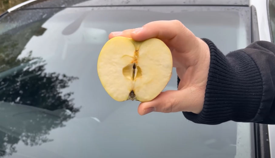 Han gnubber et æble mod bilens forrude: Hvad der så sker, vil få dig til at gøre det samme