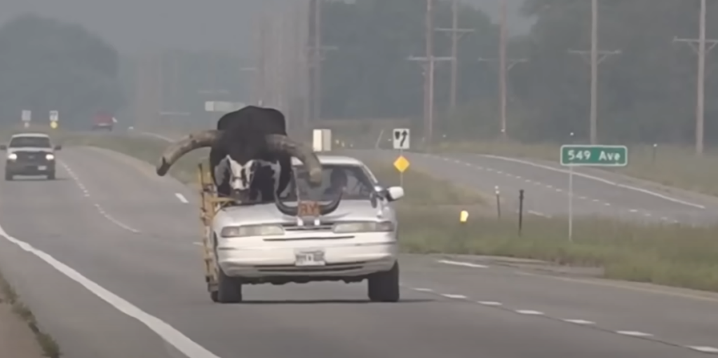 Politiet blev kaldt ud til bil: Da de så passageren kunne de ikke tro deres egne øjne