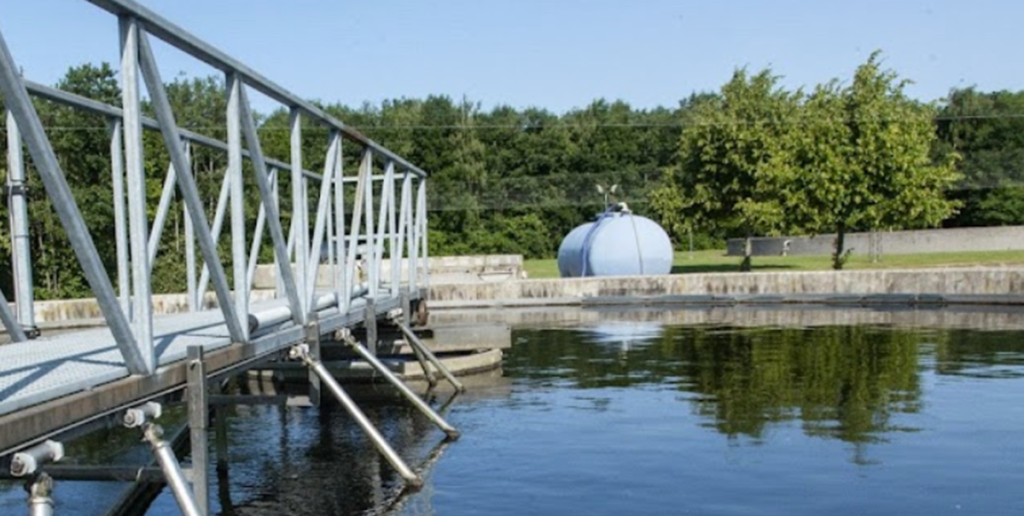 Brugte penge uden tilladelse: Skandaleselskab beder kommunen om 110 millioner korner