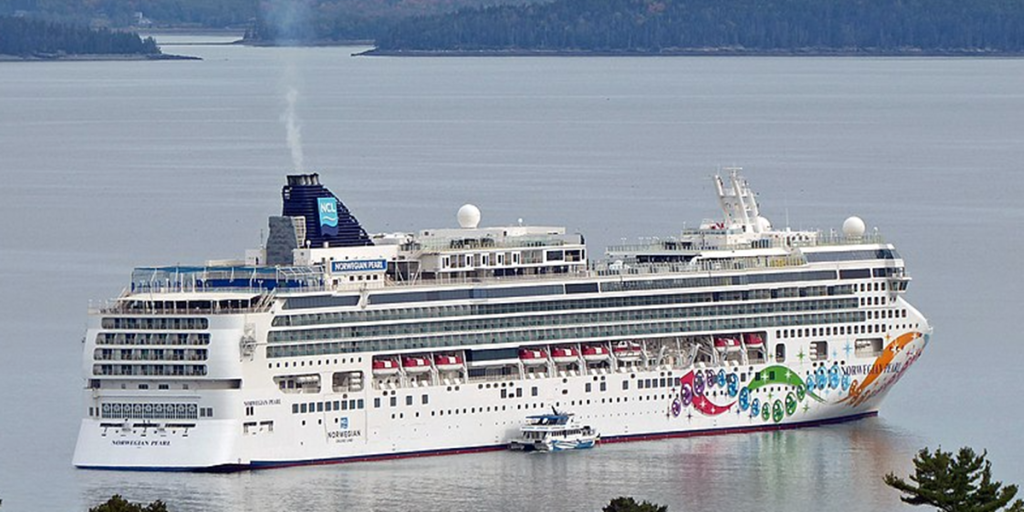 Passager afslører: Her er de overraskende regler, der skal holde et nøgenkrydstogtskib rent