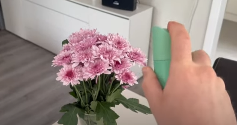 Mange danskere kender problemet: Sådan undgår du, at dine blomster visner