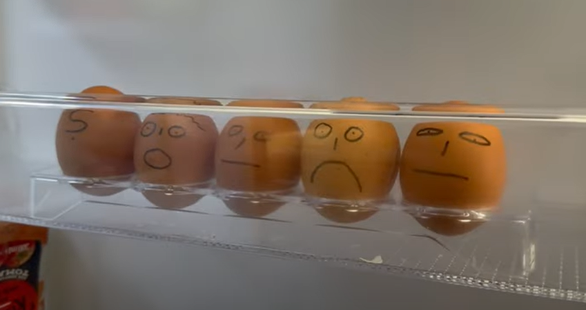 Derfor bør du aldrig opbevare æg i køleskabslågen