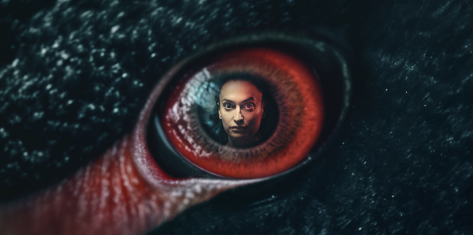 ‘Den sorte svane’-advokat tiltalt i alvorlig sag om hvidvask