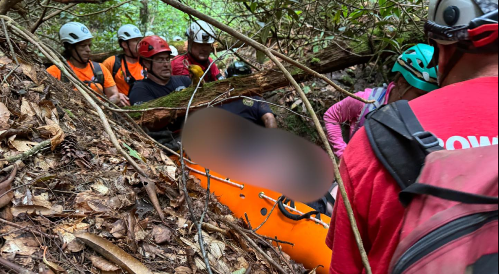 Forsvundet vandrer fundet i live: Var uden mad og drikke i to uger