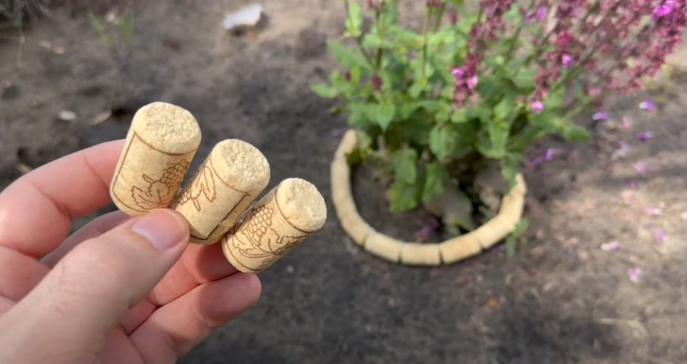 Meget få ved det: Korkpropper er guld værd i haven