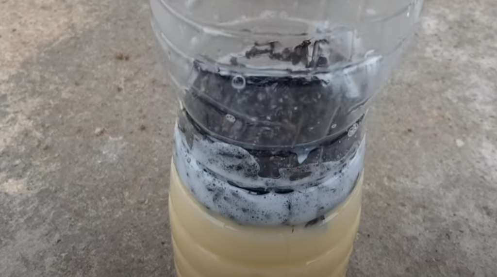 Han blander mælk, sukker og peber: Kort efter er flasken fyldt med fluer