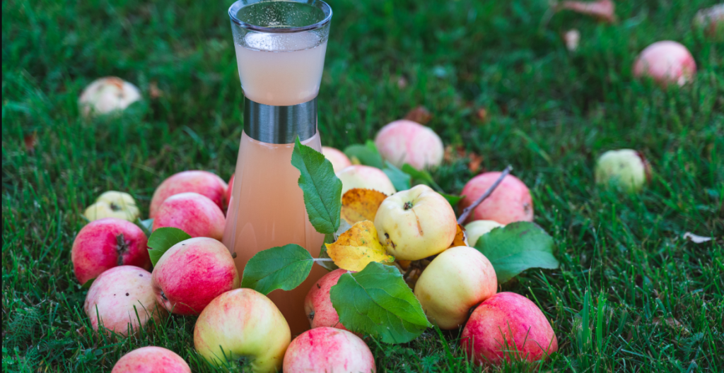 Hjemmegartner brugte smart metode: Hans mange overskydende æbler blev til juice med et snuptag