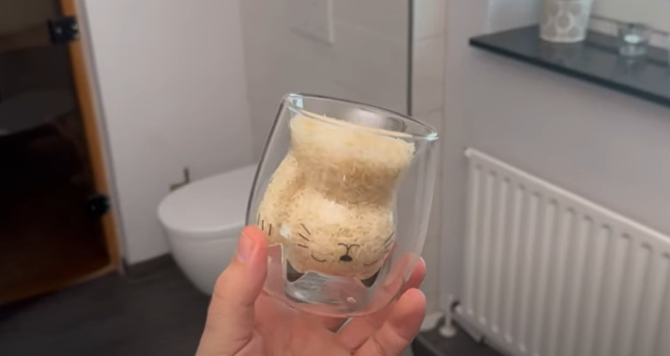 Ris er guld værd på badeværelset: Vent til du ser hvorfor