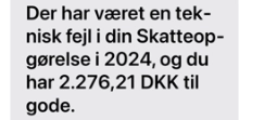 Digitaliseringsstyrelsen udsender advarsel om fejl i skatteopgørelsen