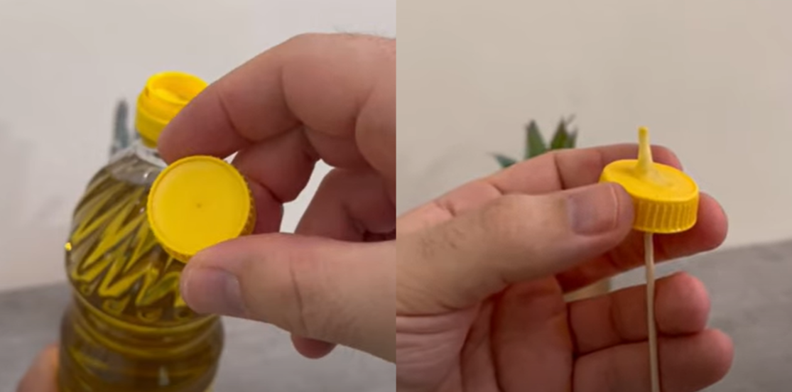 Trick med oliens låg vinder frem: Det er direkte genialt