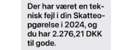 Digitaliseringsstyrelsen med vigtig advarsel om fejl i skatteopgørelsen