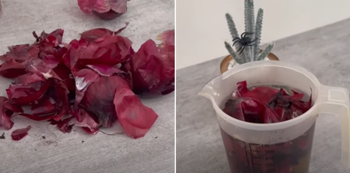 Smid ikke dine løgskaller i skraldespanden: Her er de guld værd