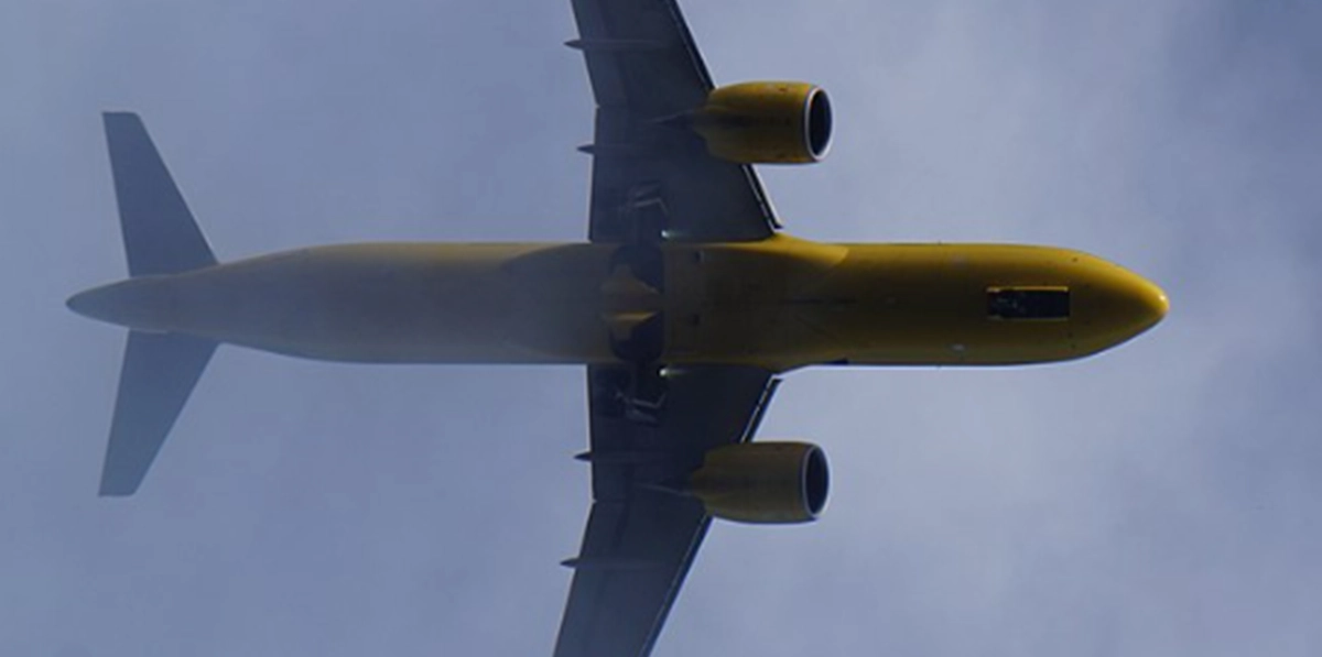 Kæmpe flyselskab er på randen af konkurs