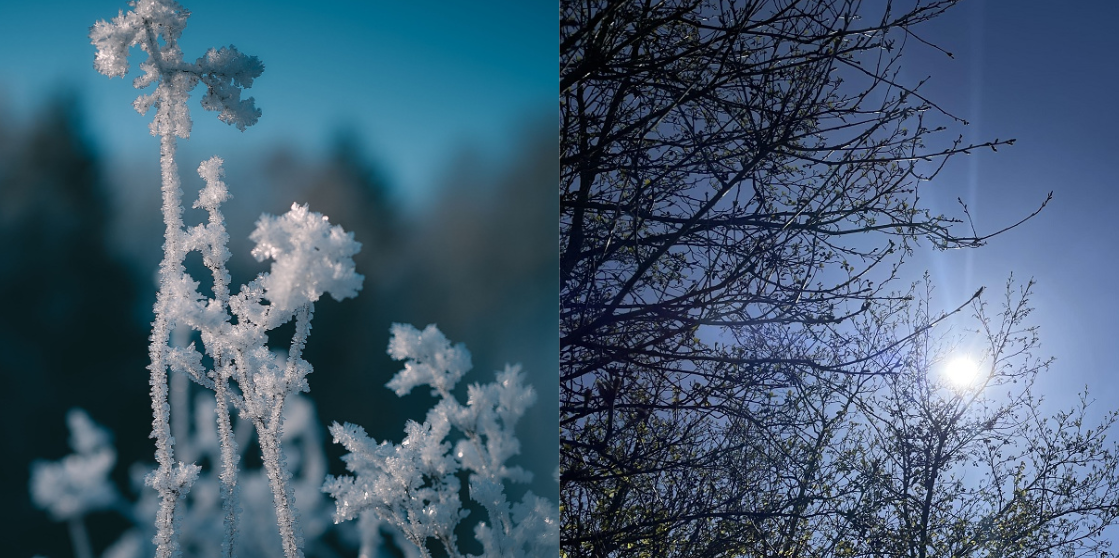 DMI har opdateret månedsprognosen: Her er, hvad de siger om vejret i december