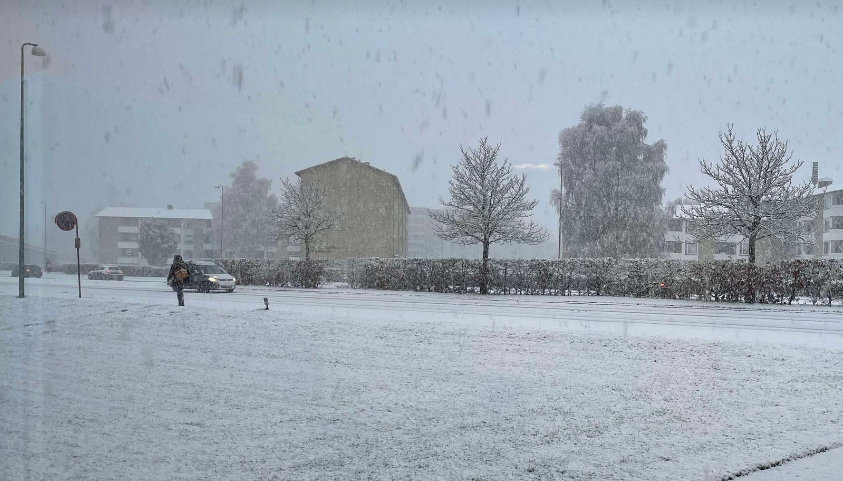 DMI med ny sæsonprognose: Melder om sne i januar og februar, men…