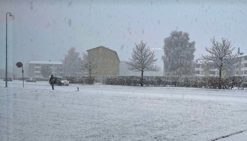 DMI med ny sæsonprognose: Melder om sne i januar og februar, men…
