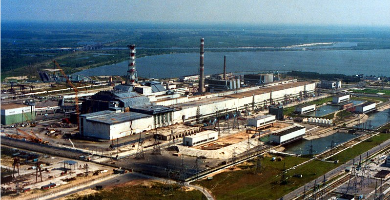Vilde hunde blev udsat for stråling i Tjernobyl: Her er, hvad der sker med dem