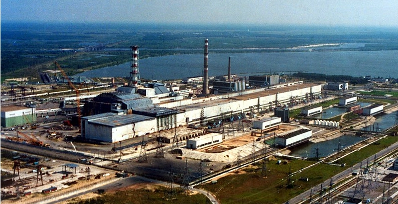 Vilde hunde blev udsat for stråling i Tjernobyl: Her er, hvad der sker med dem
