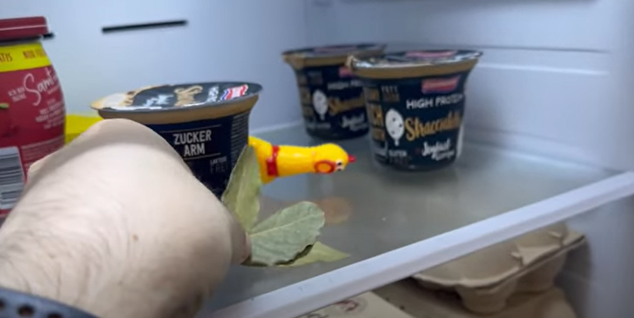 Han lægger laurbærblade i køleskabet: Bare vent til du finder ud af hvorfor