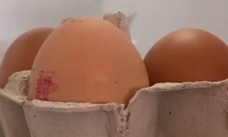 Hverken en uge eller en måned: Så længe holder æg i køleskabet